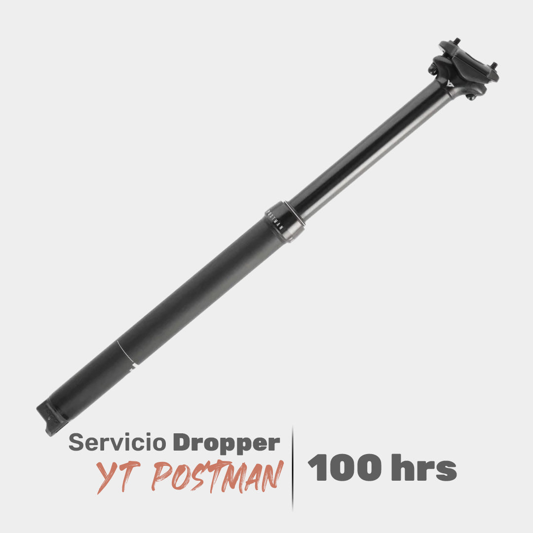 Servicio 100 hrs Dropper YT Postman