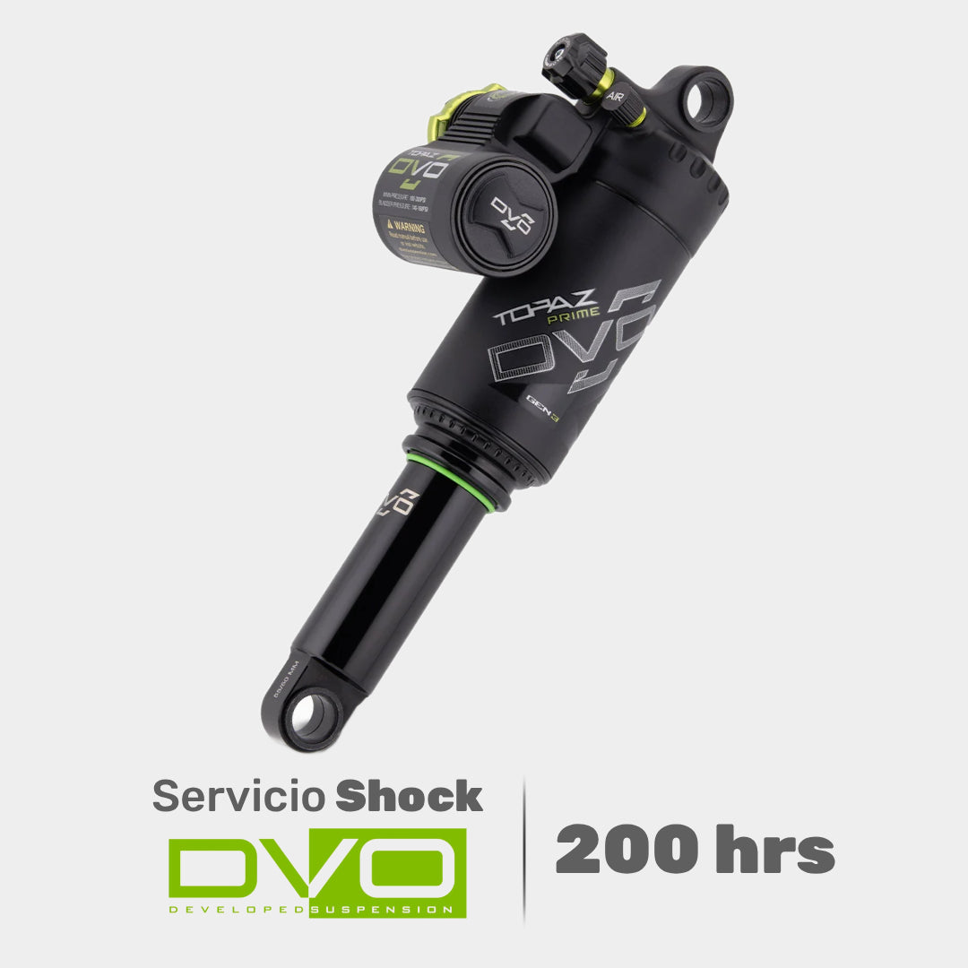 Servicio Shock DVO 200 horas