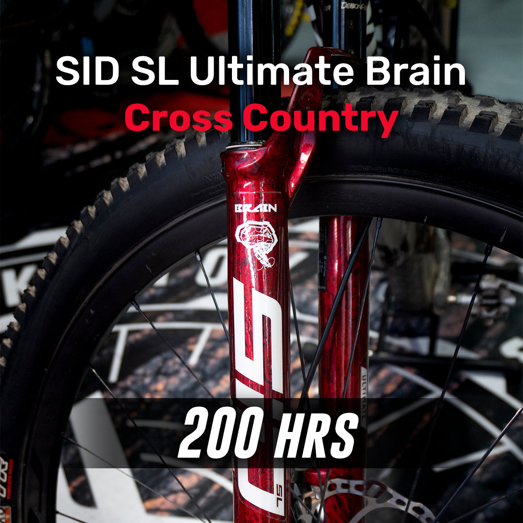 Servicio Horquilla SID SL Ultimate Brain (200 horas)