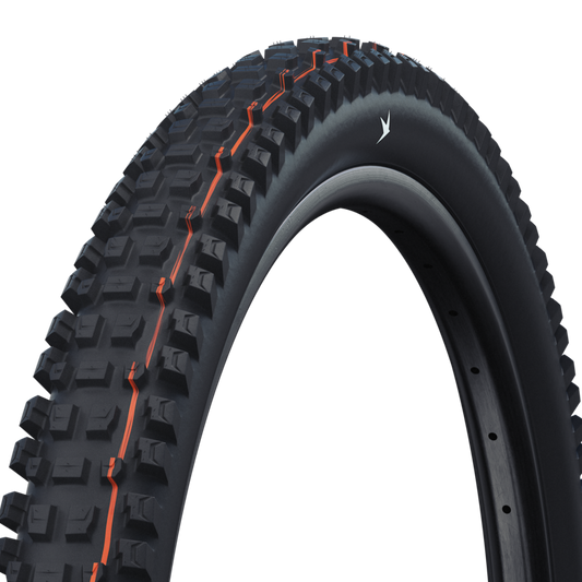 Llanta Schwalbe Albert Gravity Pro Ultra Soft 29's
