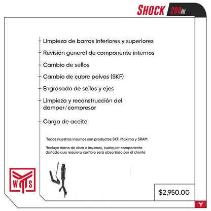 Servicio para shock Brain 200 hrs