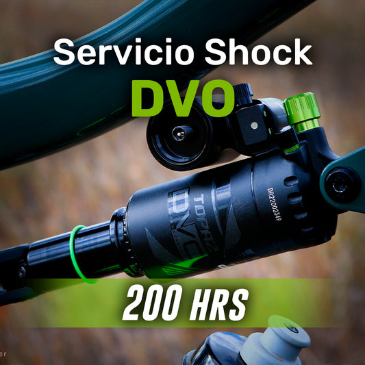 Servicio Shock DVO 200 horas